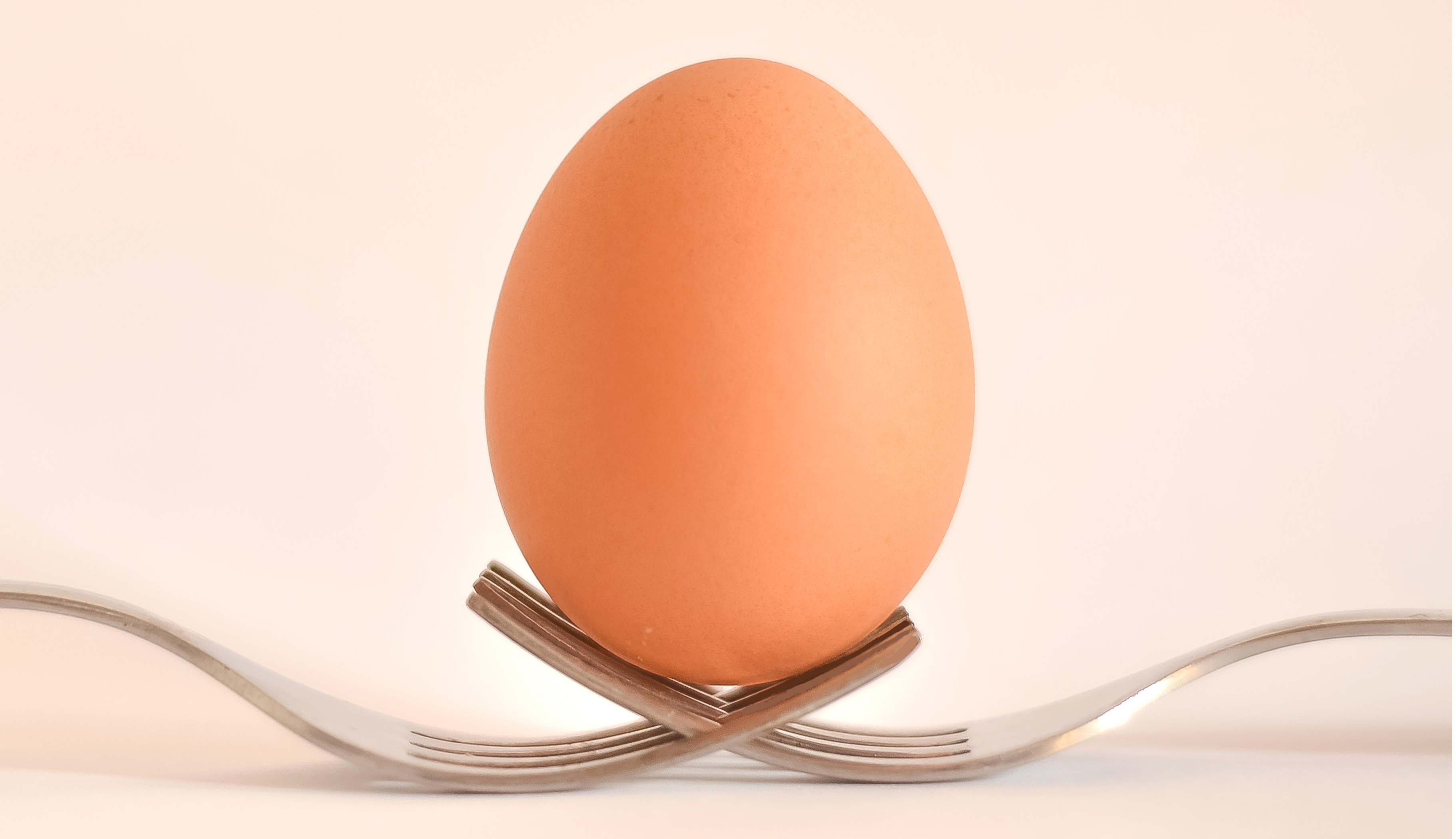 Een hoort erbij! feiten fabels over eieren op een rij